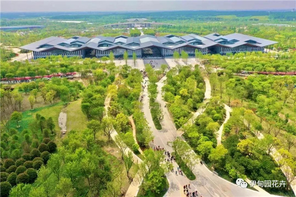 上海|親自體驗中國花卉界的“奧林匹克”盛宴!