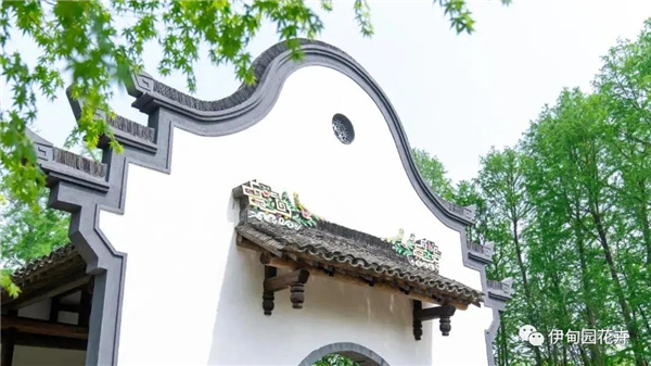 上海|親自體驗中國花卉界的“奧林匹克”盛宴!