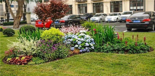 綠化圖片 綠化圖片