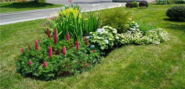 綠化圖片 綠化圖片